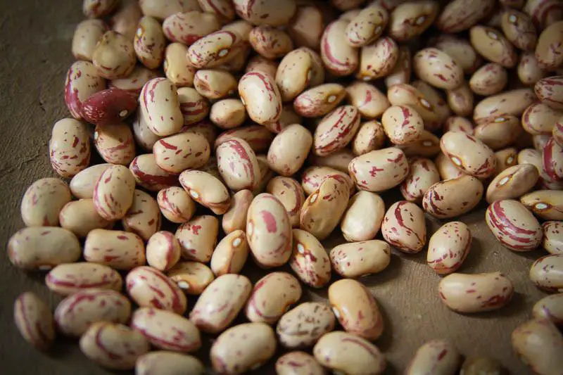 Baby Girl Dies After Swallowing Raw Bean Seed