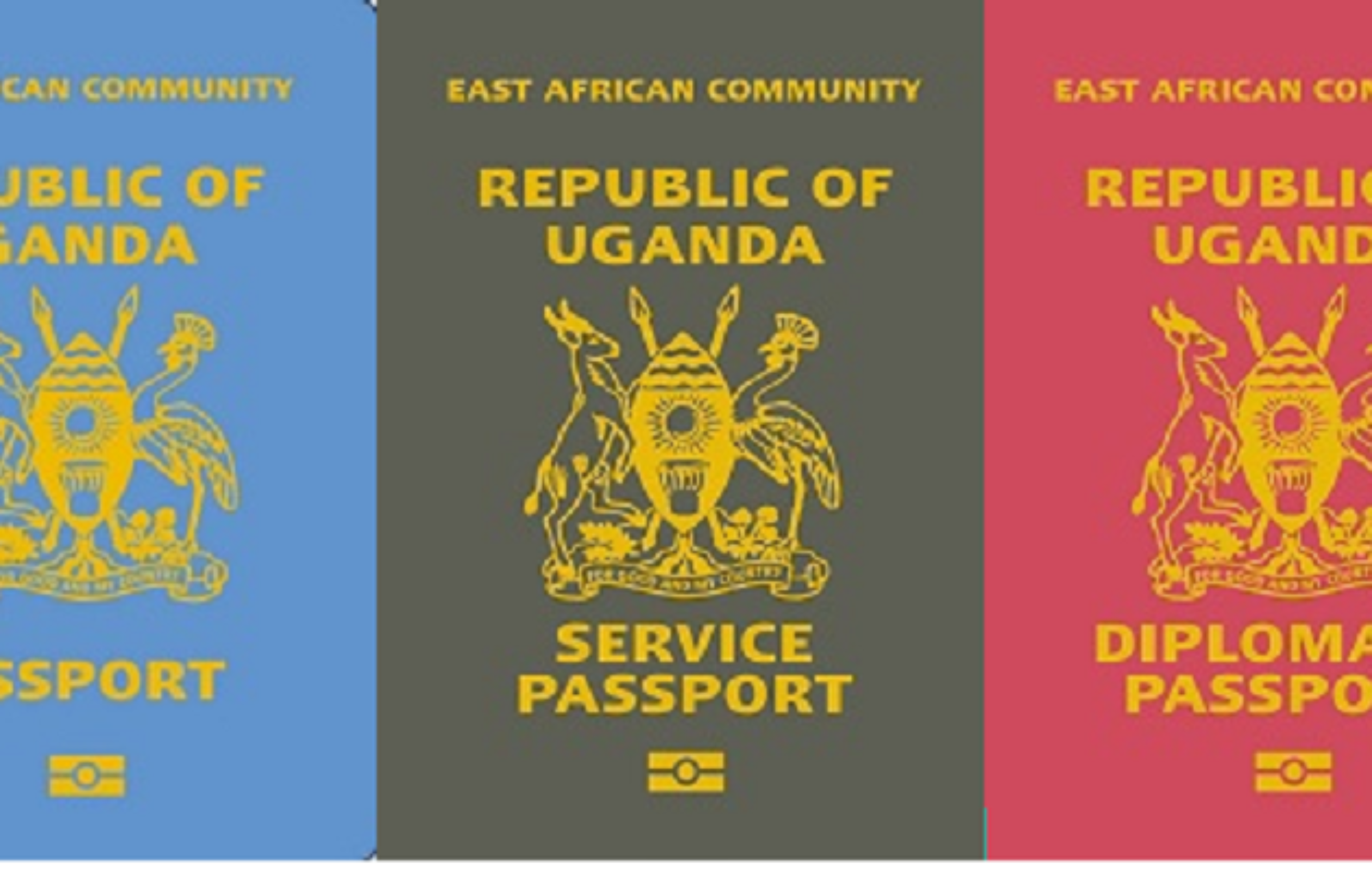 How To Get A Passport E Passport In Uganda 2022 Online Ugwire