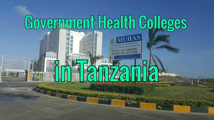 Government Health Colleges in Tanzania Medical LIST 2022