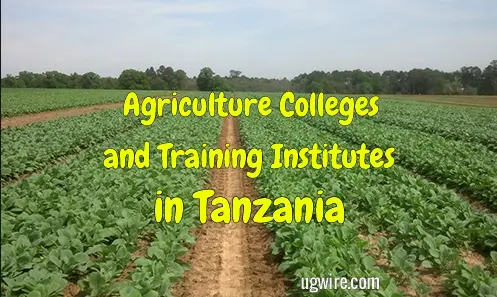 Agriculture Colleges in Tanzania 2022 Training Institutes