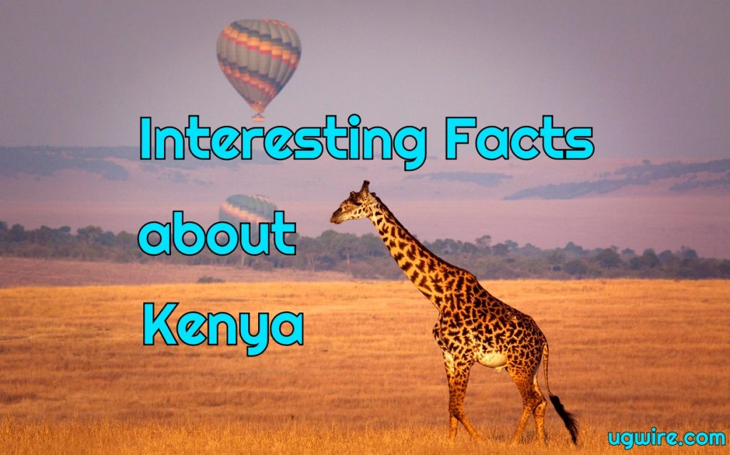 Interesting Facts about Kenya Safari & Economy