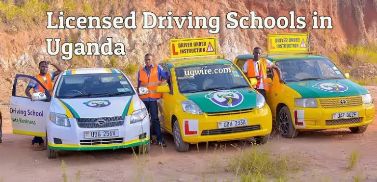 licensed-driving-schools-in-uganda-2023-ugwire