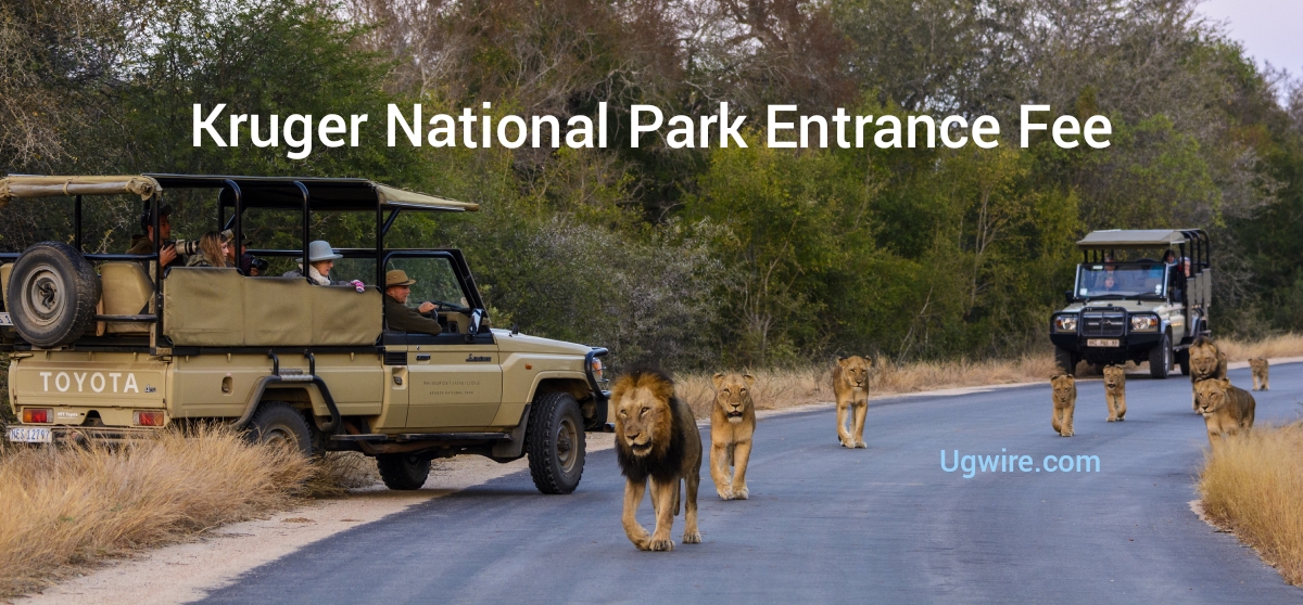 Kruger National Park Entrance Fee 2022 prices